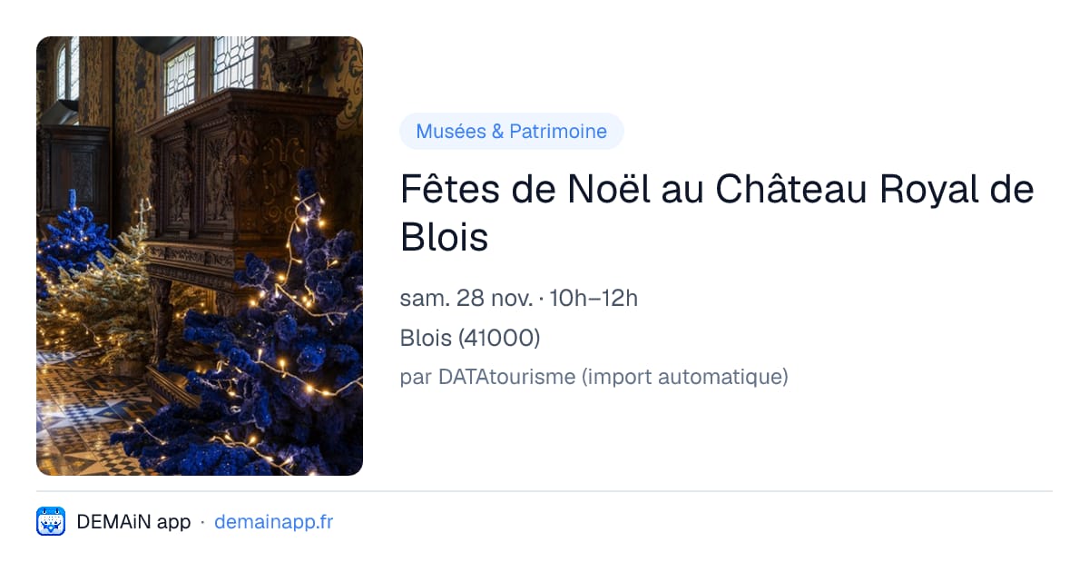 Fêtes de Noël au Château Royal de Blois — Blois