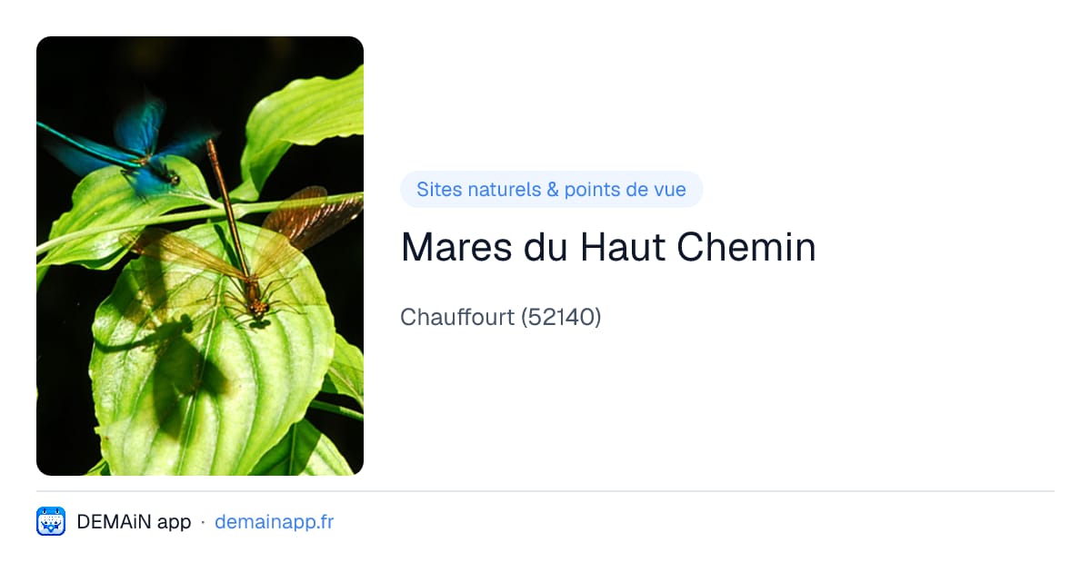 Mares du Haut Chemin — Chauffourt