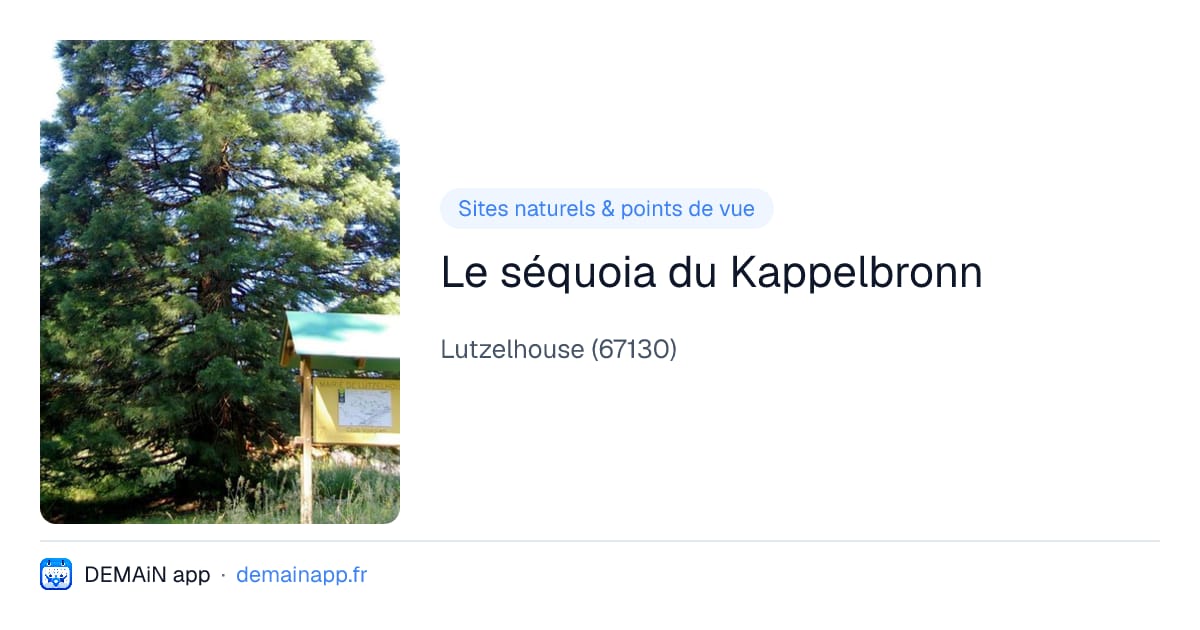 Le séquoia du Kappelbronn — Lutzelhouse
