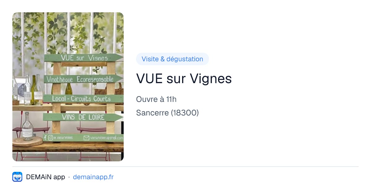 VUE sur Vignes — Sancerre