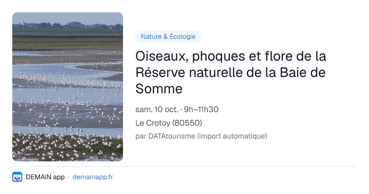 Oiseaux, phoques et flore de la Réserve naturelle de la Baie de Somme — Le Crotoy