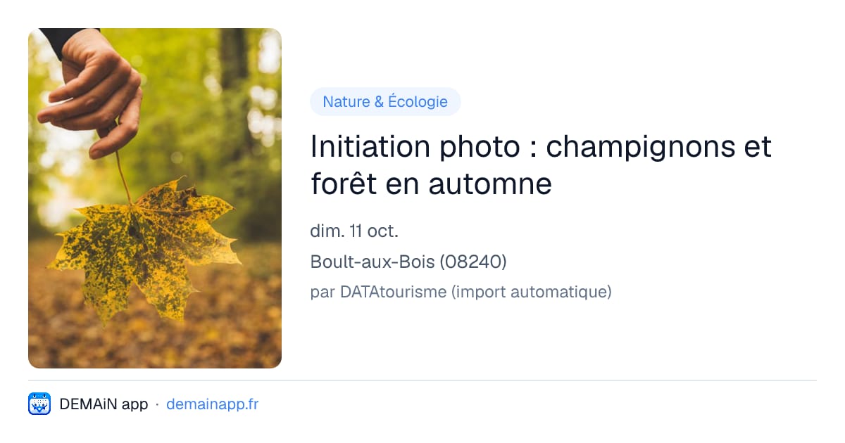 Initiation photo : champignons et forêt en automne — Boult-aux-Bois