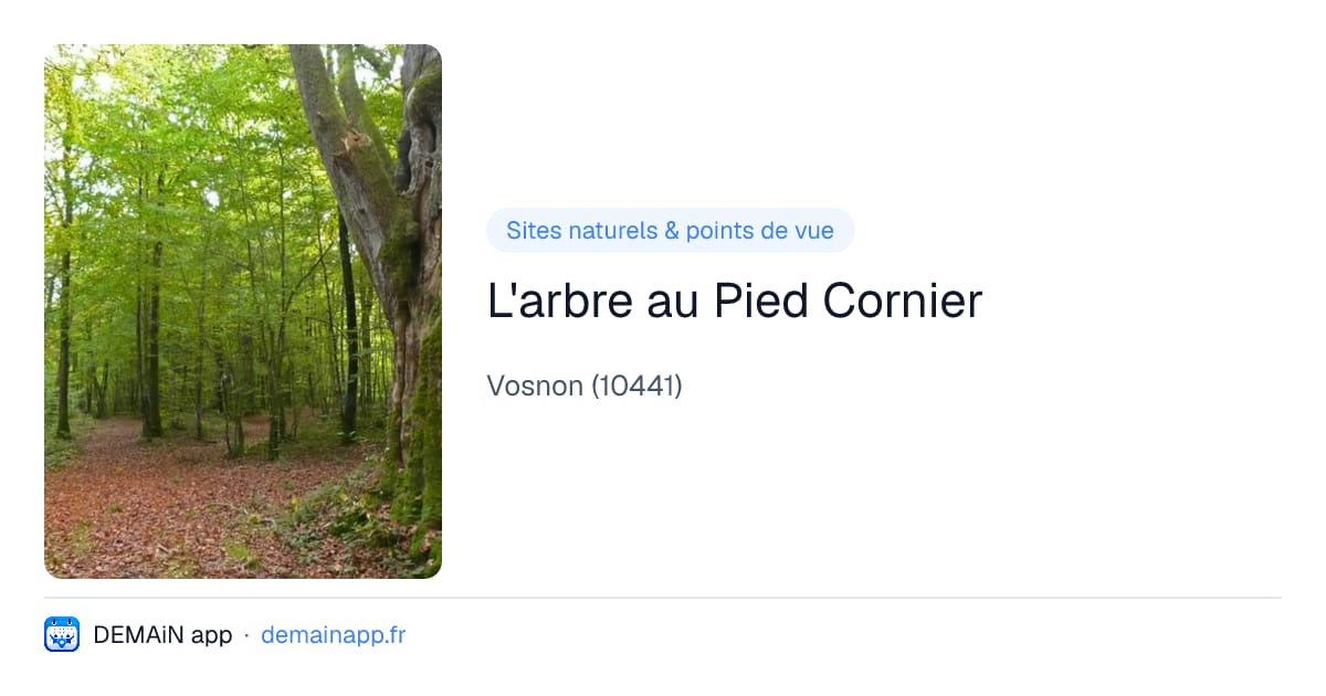 L'arbre au Pied Cornier — Vosnon