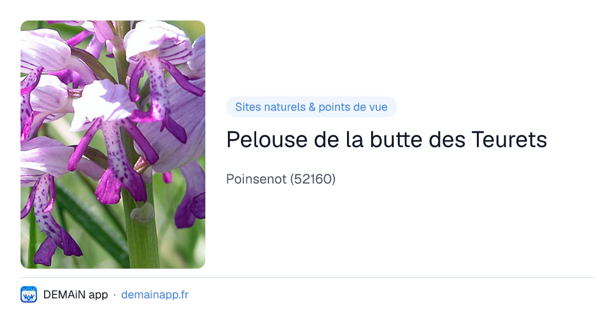 Pelouse de la butte des Teurets — Poinsenot