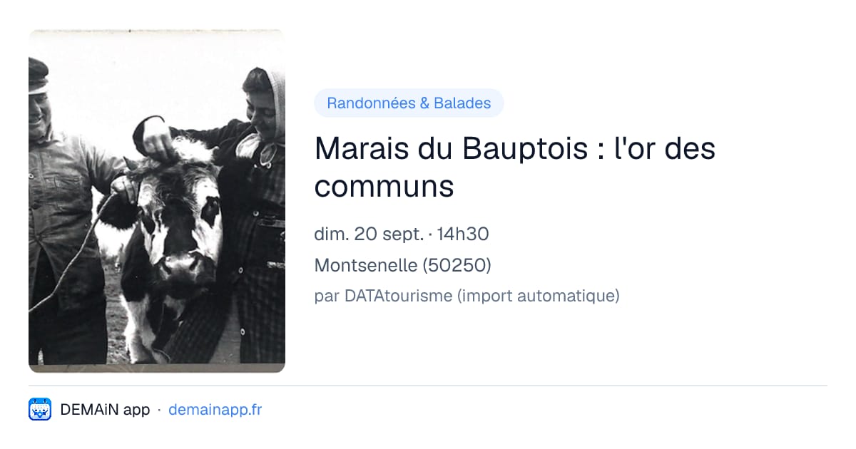 Marais du Bauptois : l'or des communs — Montsenelle