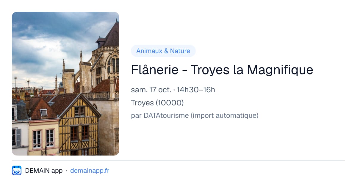 Flânerie - Troyes la Magnifique — Troyes