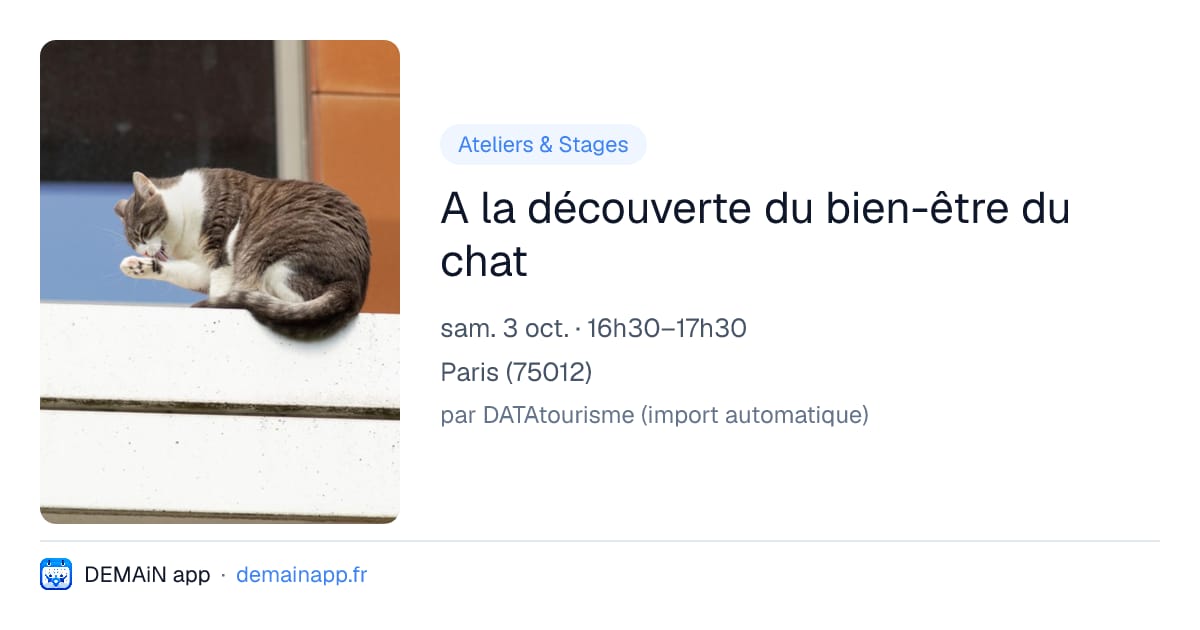 A la découverte du bien-être du chat — Paris