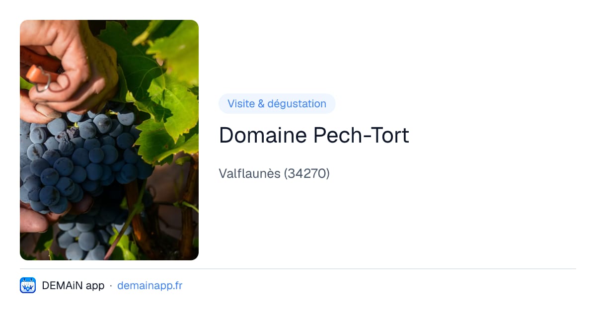 Domaine Pech-Tort — Valflaunès
