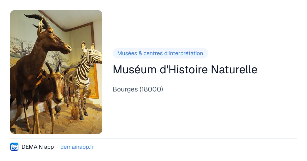 Muséum d'Histoire Naturelle — Bourges