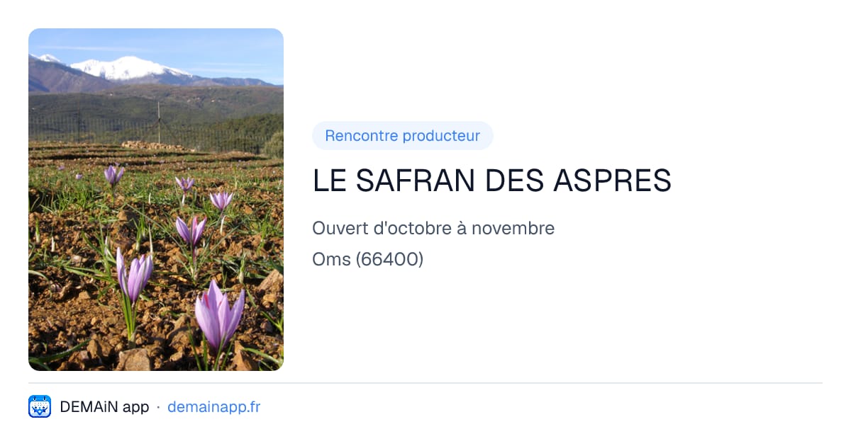 LE SAFRAN DES ASPRES — Oms