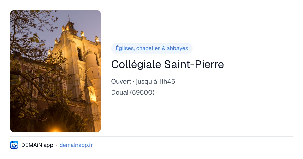 Collégiale Saint-Pierre — Douai