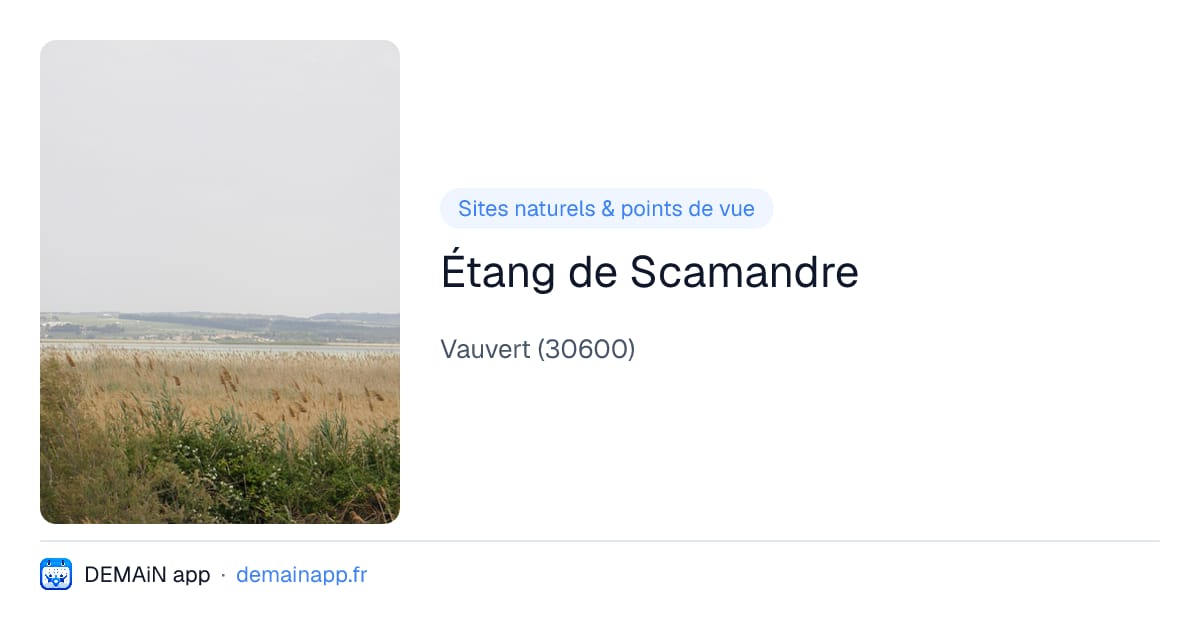 Étang de Scamandre — Vauvert