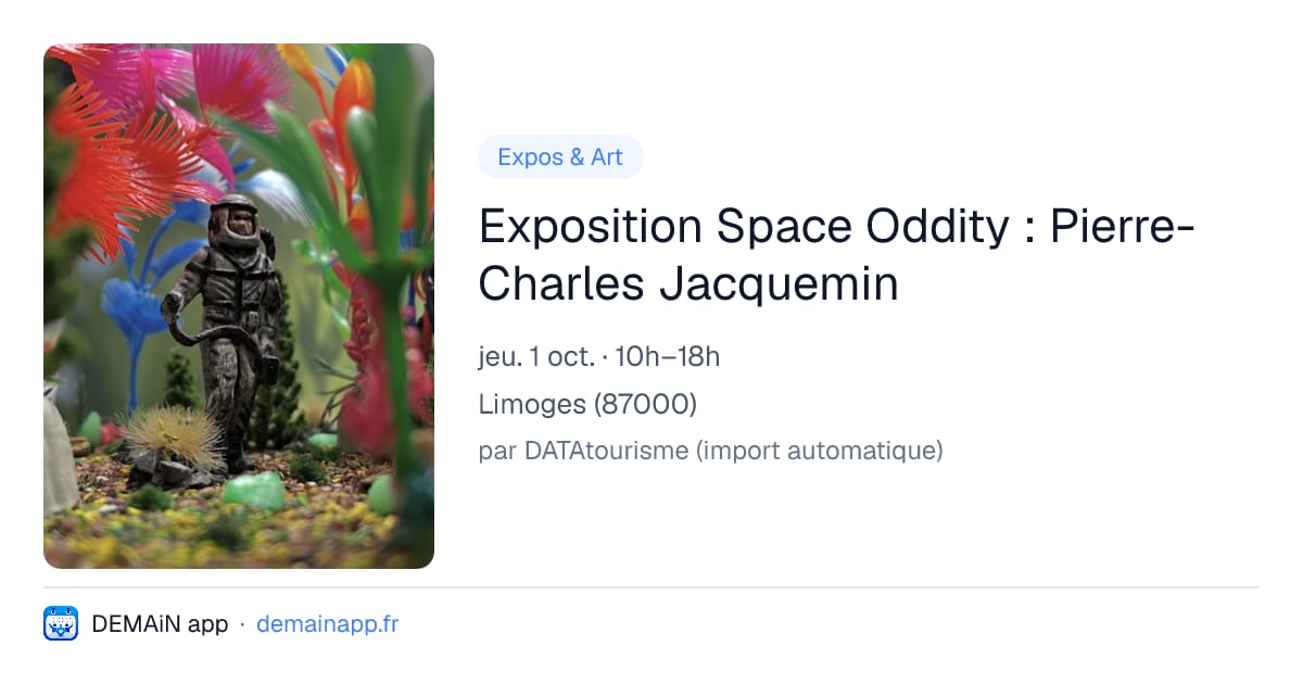 Exposition Space Oddity : Pierre-Charles Jacquemin — Limoges