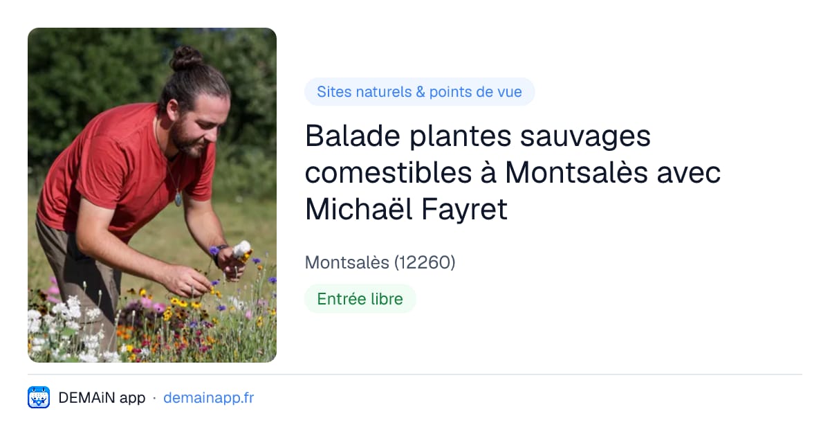Balade plantes sauvages comestibles à Montsalès avec Michaël Fayret — Montsalès