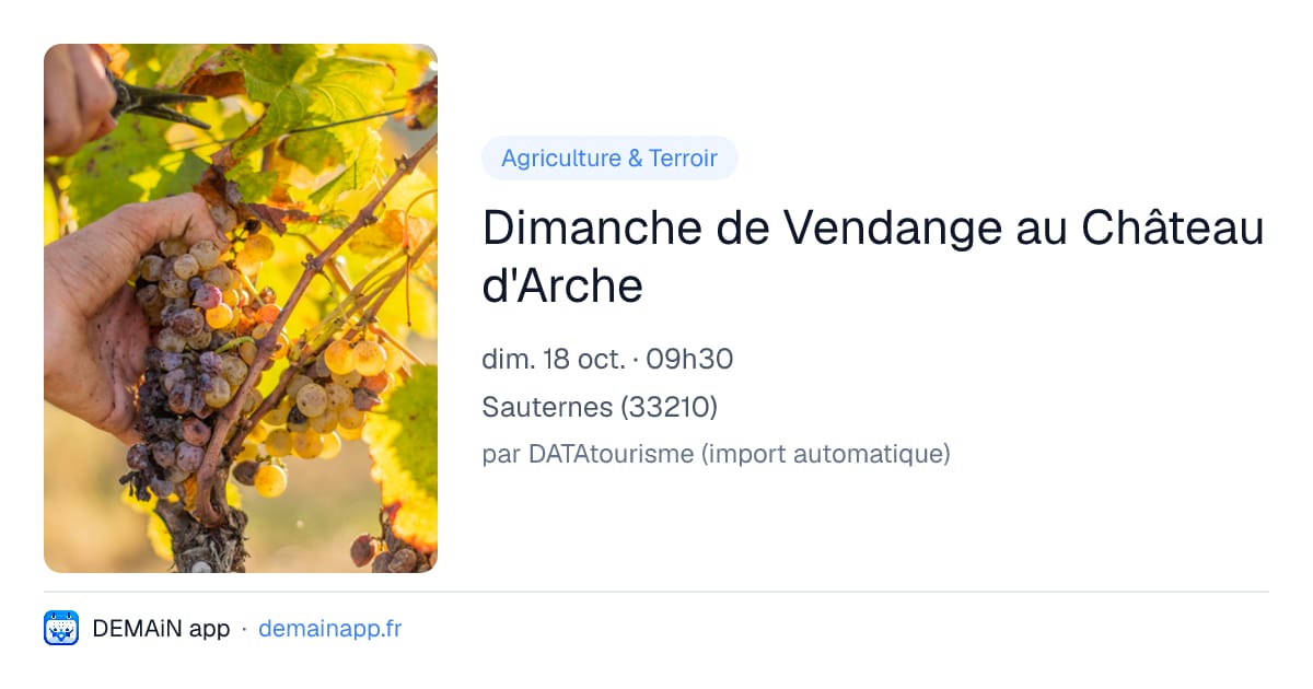 Dimanche de Vendange au Château d'Arche — Sauternes