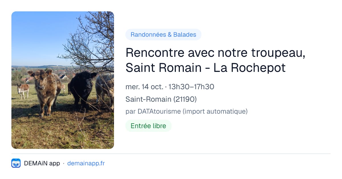 Rencontre avec notre troupeau, Saint Romain - La Rochepot — Saint-Romain