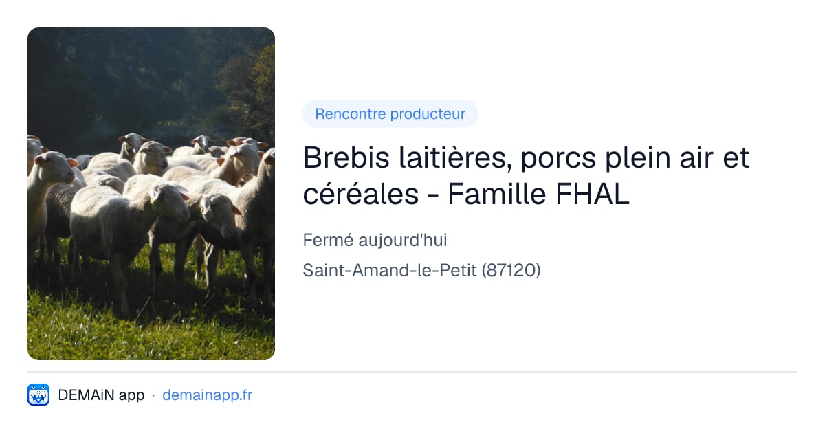 Brebis laitières, porcs plein air et céréales - Famille FHAL — Saint-Amand-le-Petit