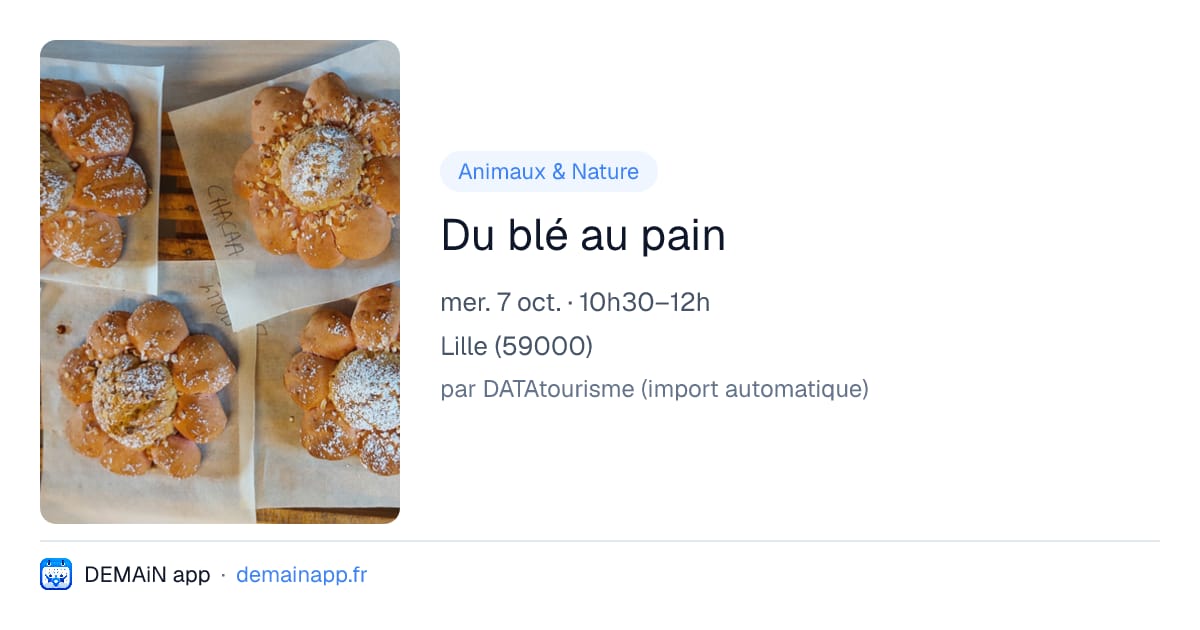 Du blé au pain — Lille
