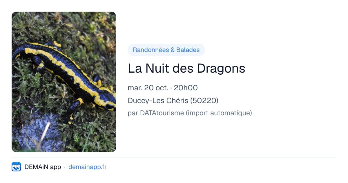 La Nuit des Dragons — Ducey-Les Chéris