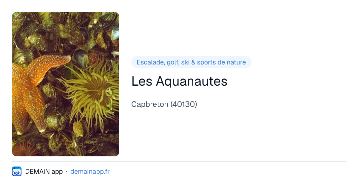 Les Aquanautes — Capbreton