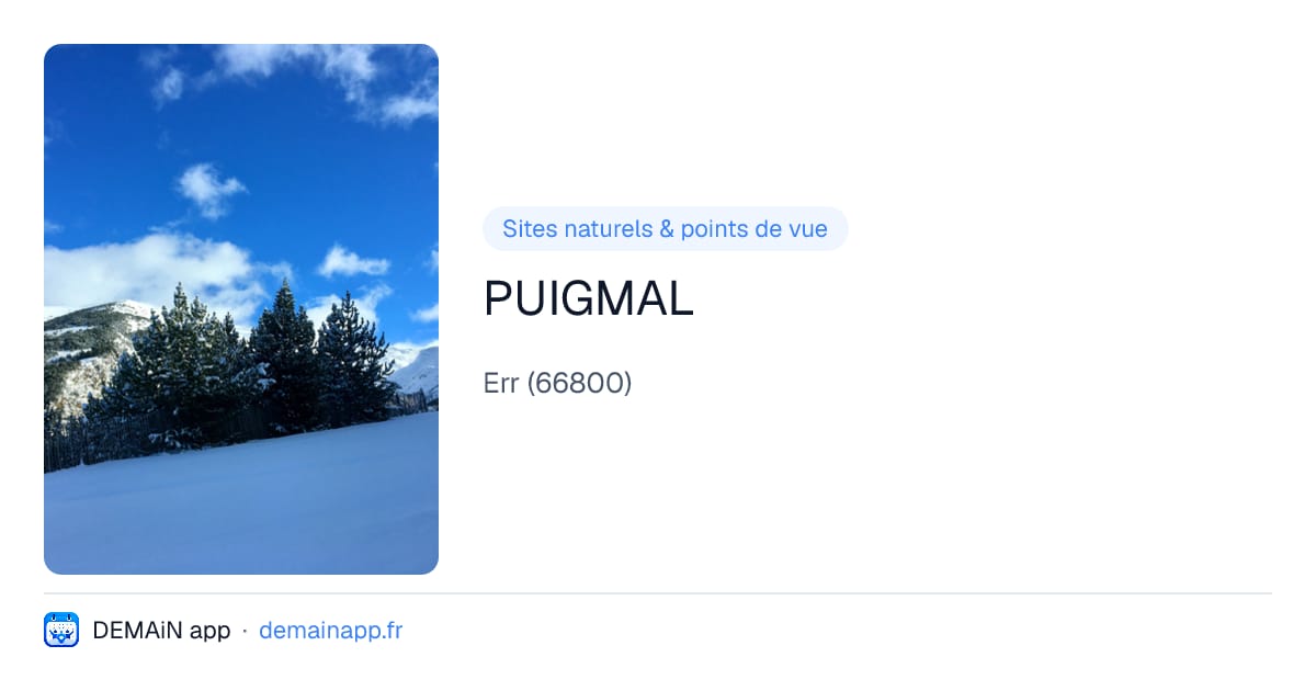 PUIGMAL — Err