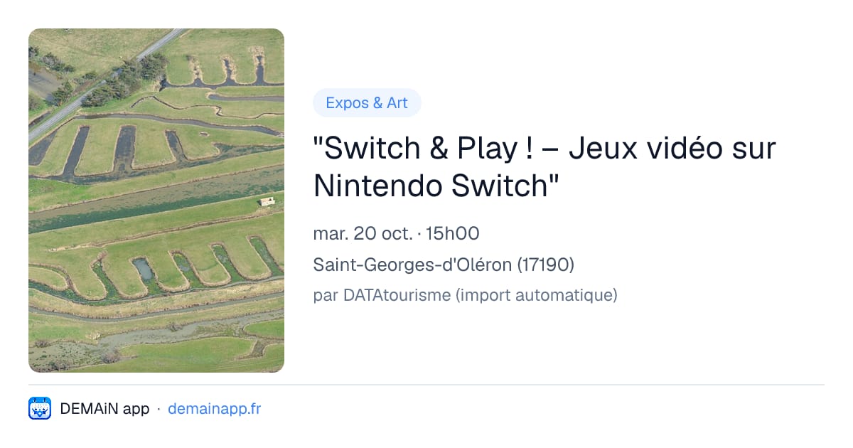 "Switch & Play ! – Jeux vidéo sur Nintendo Switch" — Saint-Georges-d'Oléron