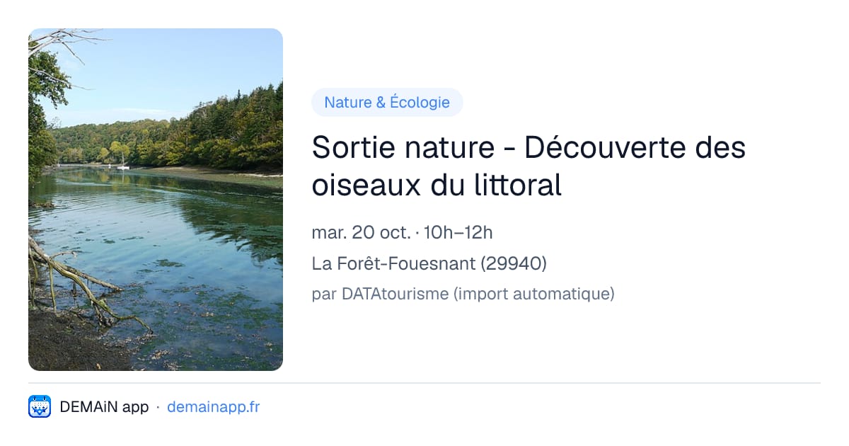 Sortie nature - Découverte des oiseaux du littoral — La Forêt-Fouesnant