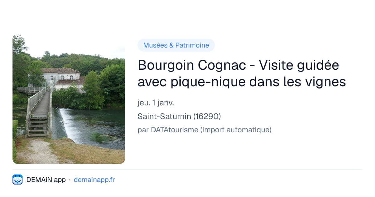 Bourgoin Cognac - Visite guidée avec pique-nique dans les vignes — Saint-Saturnin