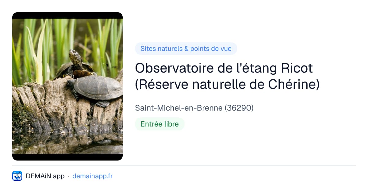 Observatoire de l'étang Ricot (Réserve naturelle de Chérine) — Saint-Michel-en-Brenne