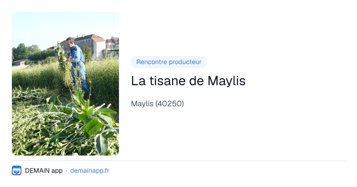 La tisane de Maylis — Maylis