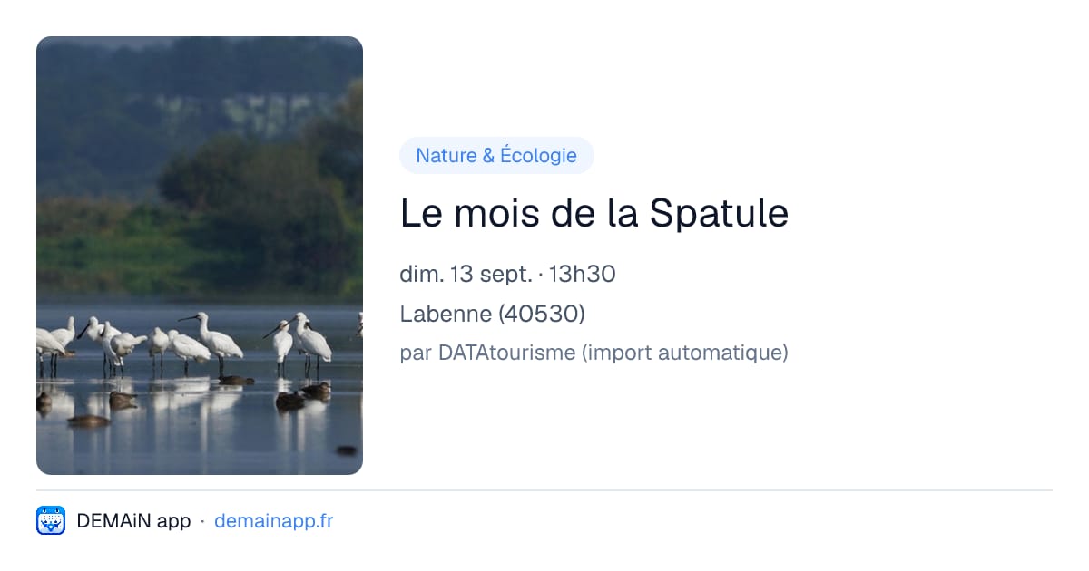 Le mois de la Spatule — Labenne