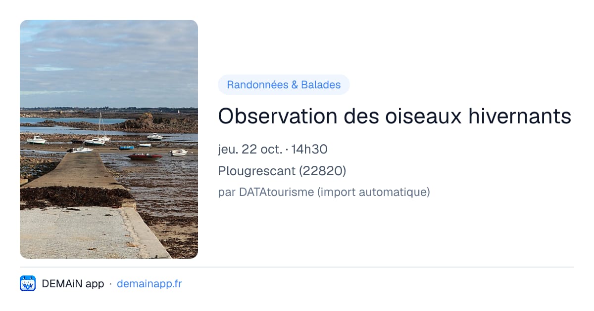 Observation des oiseaux hivernants — Plougrescant