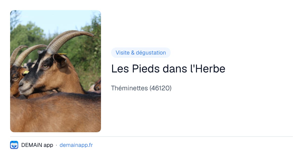 Les Pieds dans l'Herbe — Théminettes