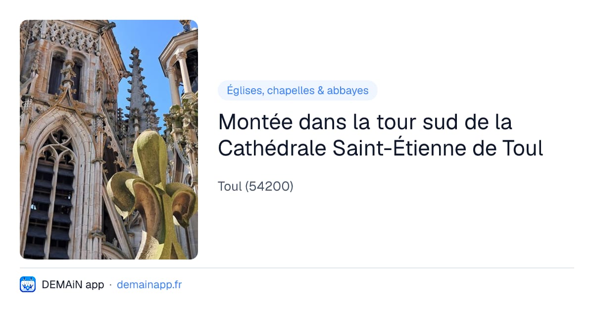 Montée dans la tour sud de la Cathédrale Saint-Étienne de Toul — Toul