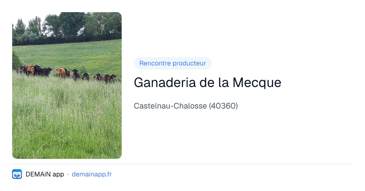 Ganaderia de la Mecque — Castelnau-Chalosse