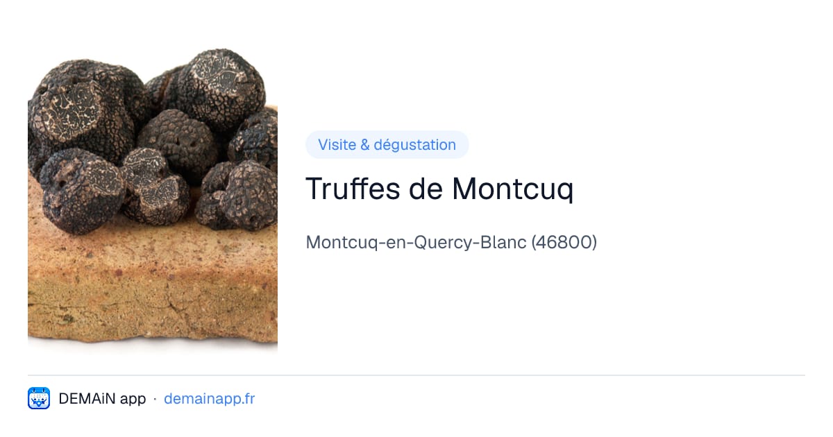 Truffes de Montcuq — Montcuq-en-Quercy-Blanc