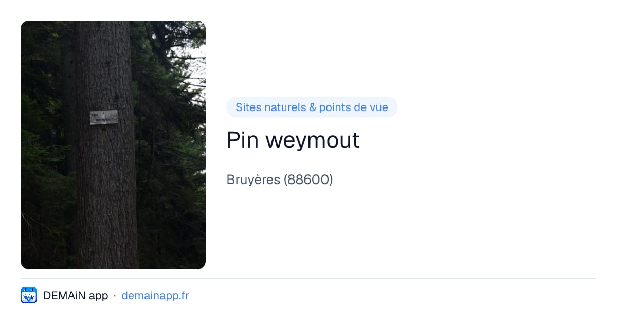 Pin weymout — Bruyères