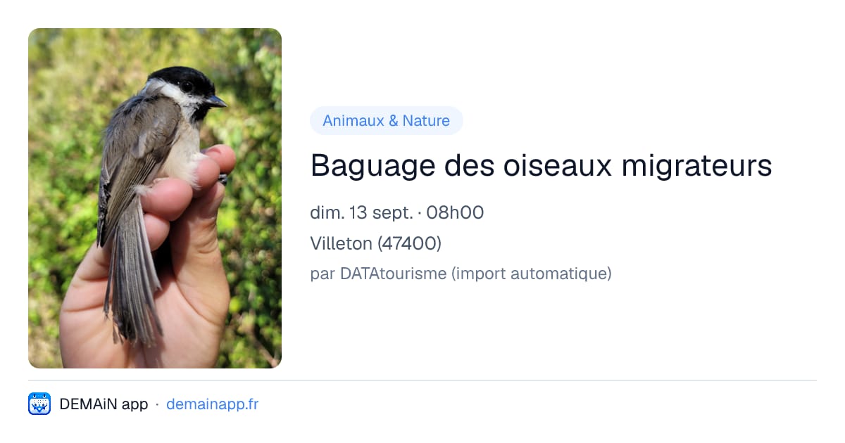 Baguage des oiseaux migrateurs — Villeton