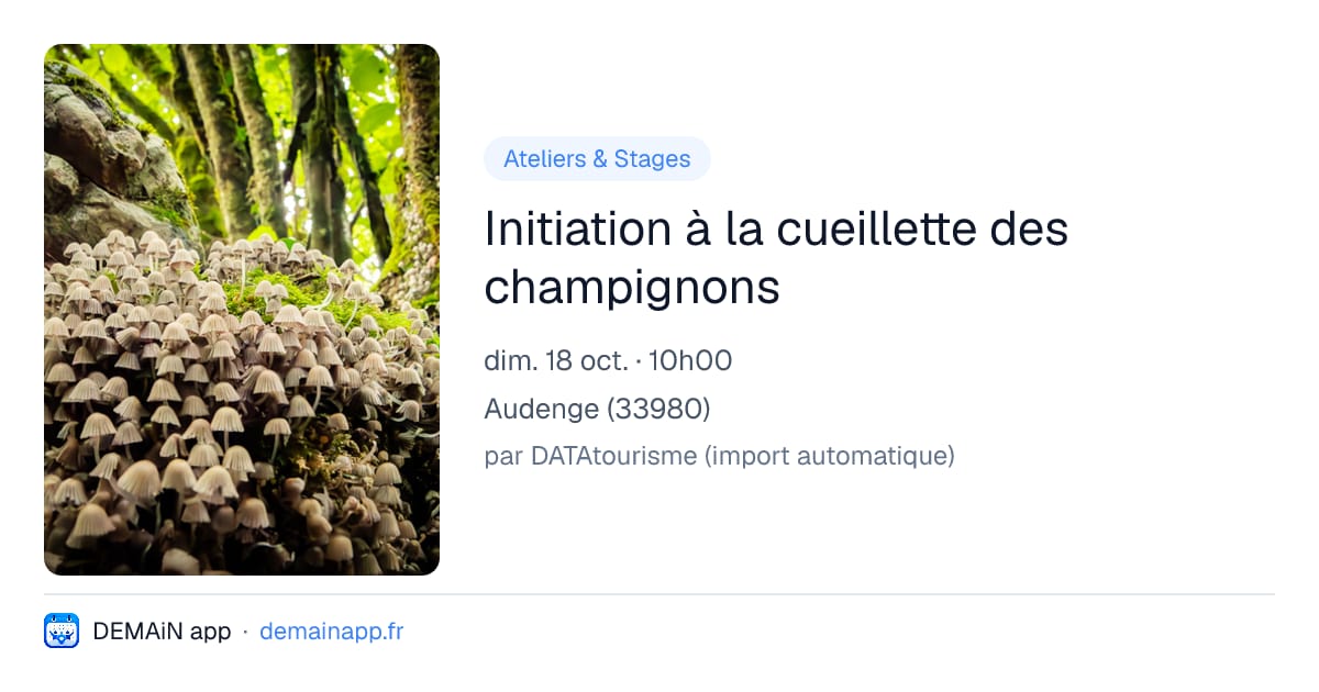 Initiation à la cueillette des champignons — Audenge