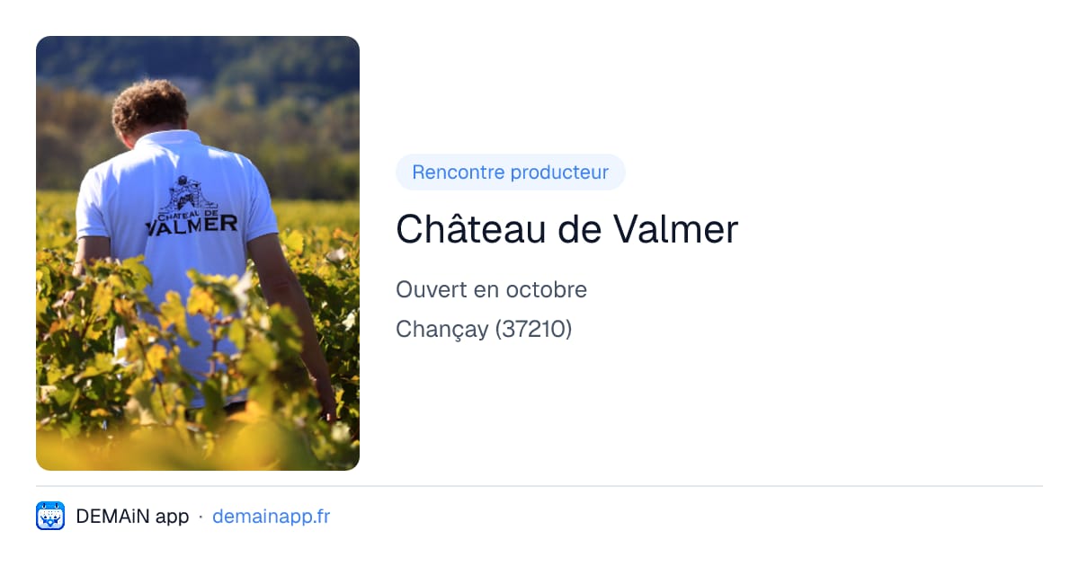 Château de Valmer — Chançay