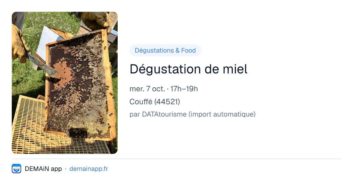 Dégustation de miel — Couffé