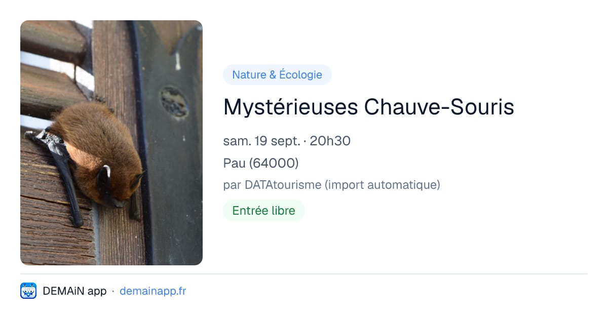 Mystérieuses Chauve-Souris — Pau