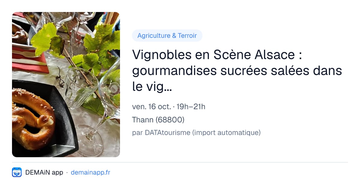 Vignobles en Scène Alsace : gourmandises sucrées salées dans le vignoble du Grand Cru Rangen — Thann