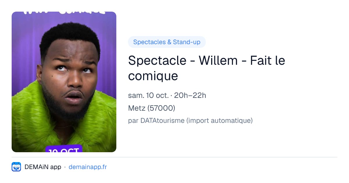 Spectacle - Willem - Fait le comique — Metz