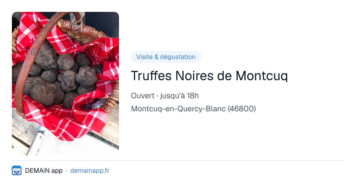 Truffes Noires de Montcuq — Montcuq-en-Quercy-Blanc