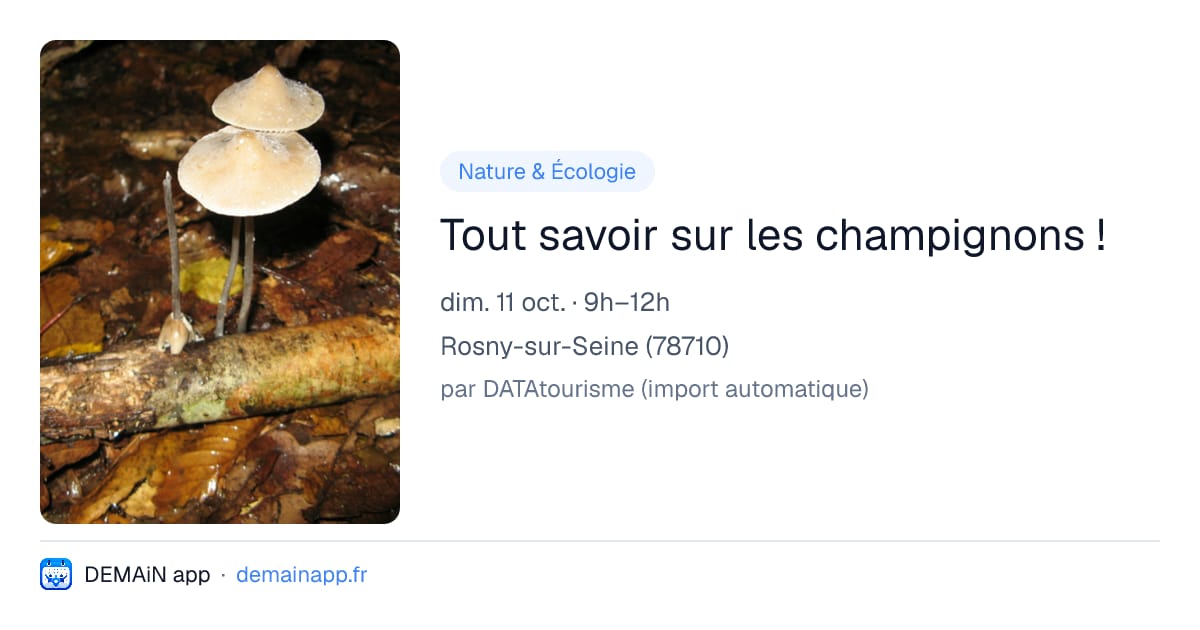 Tout savoir sur les champignons ! — Rosny-sur-Seine