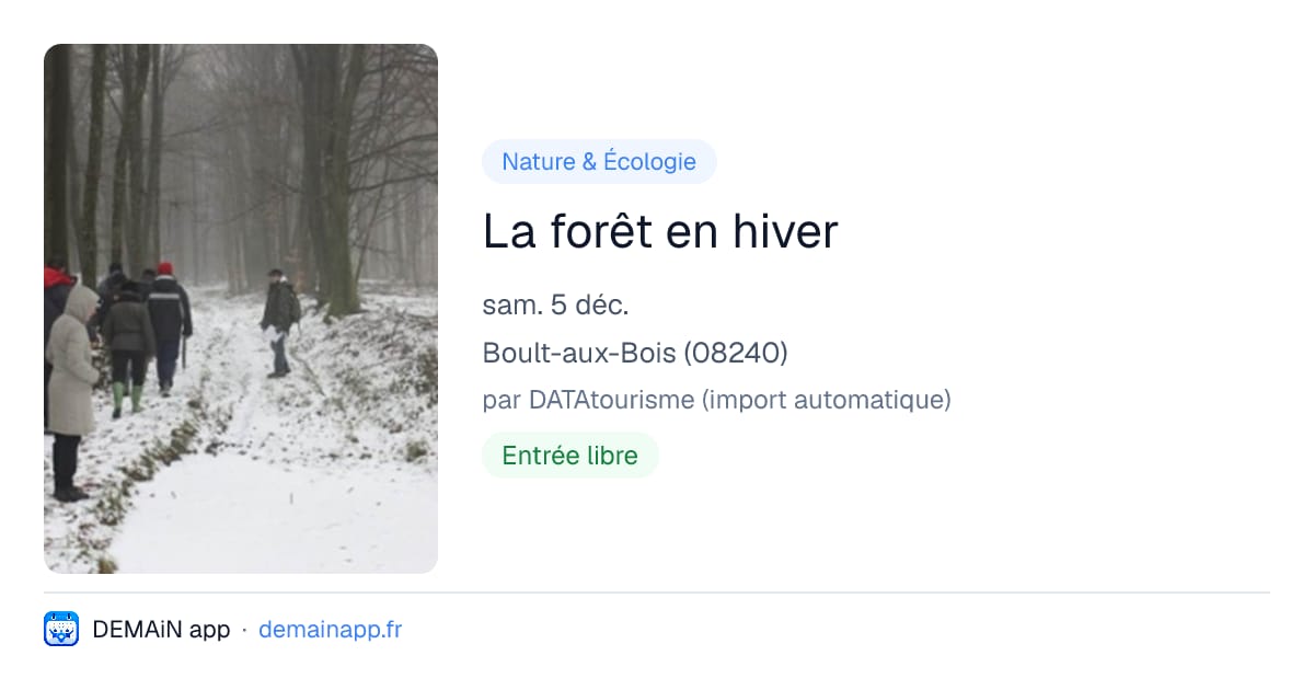 La forêt en hiver — Boult-aux-Bois