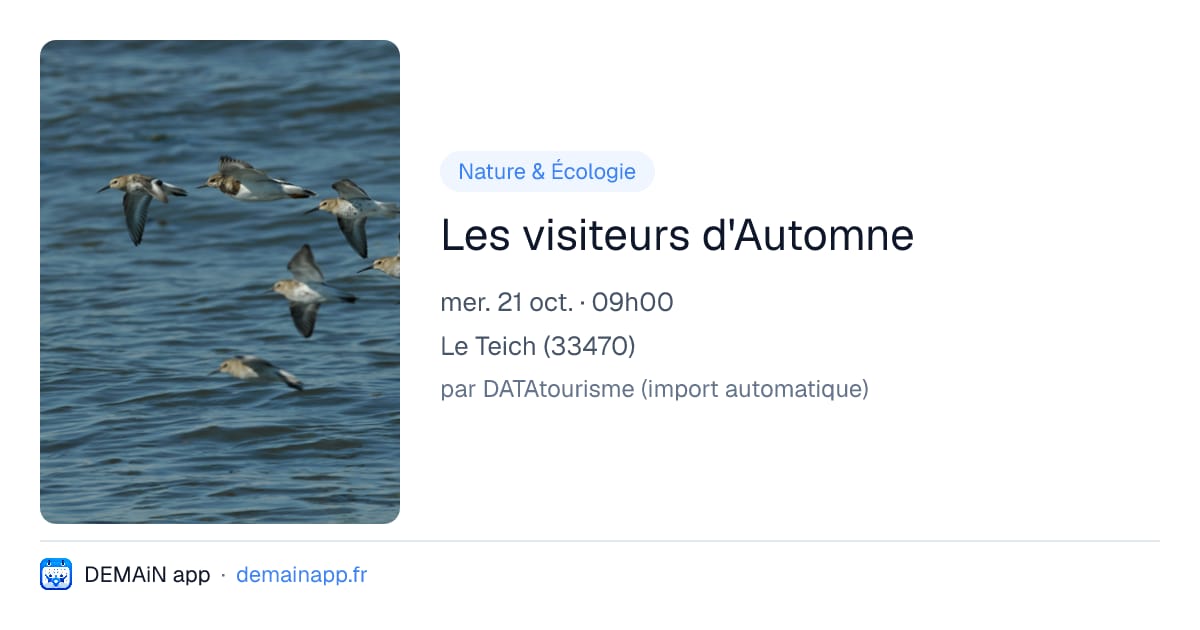 Les visiteurs d'Automne — Le Teich