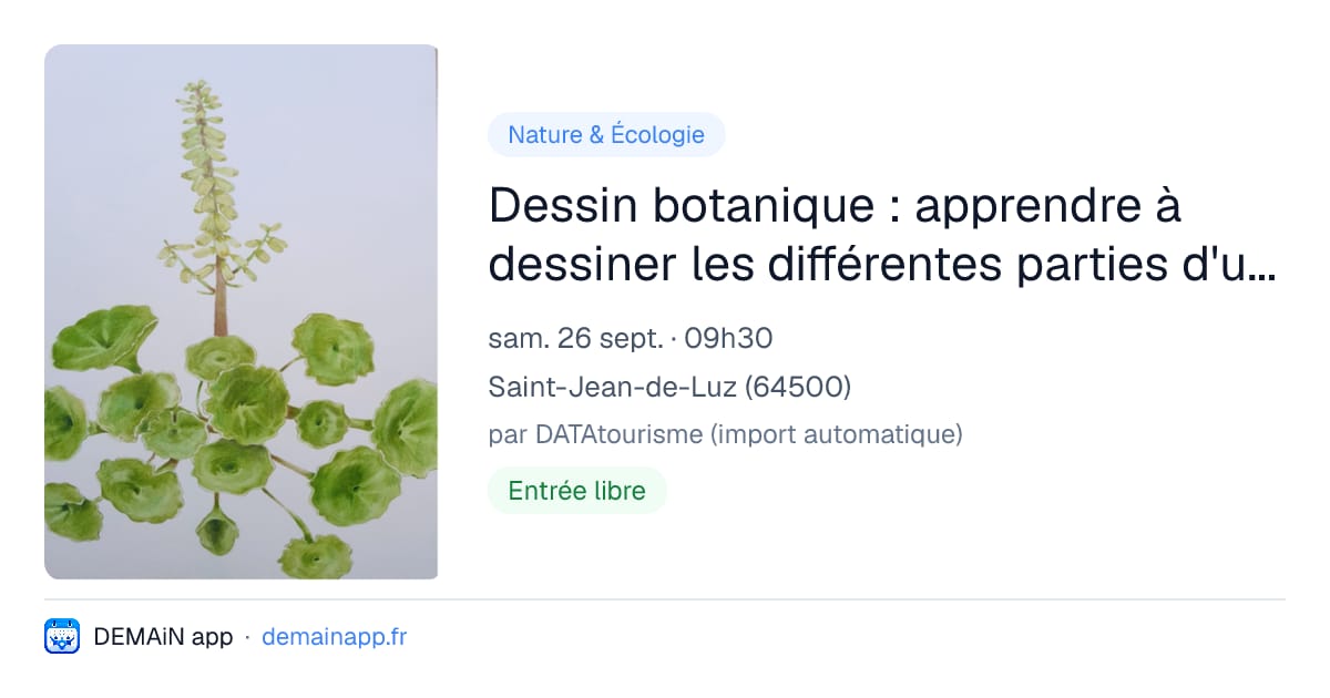 Dessin botanique : apprendre à dessiner les différentes parties d'une fleur — Saint-Jean-de-Luz