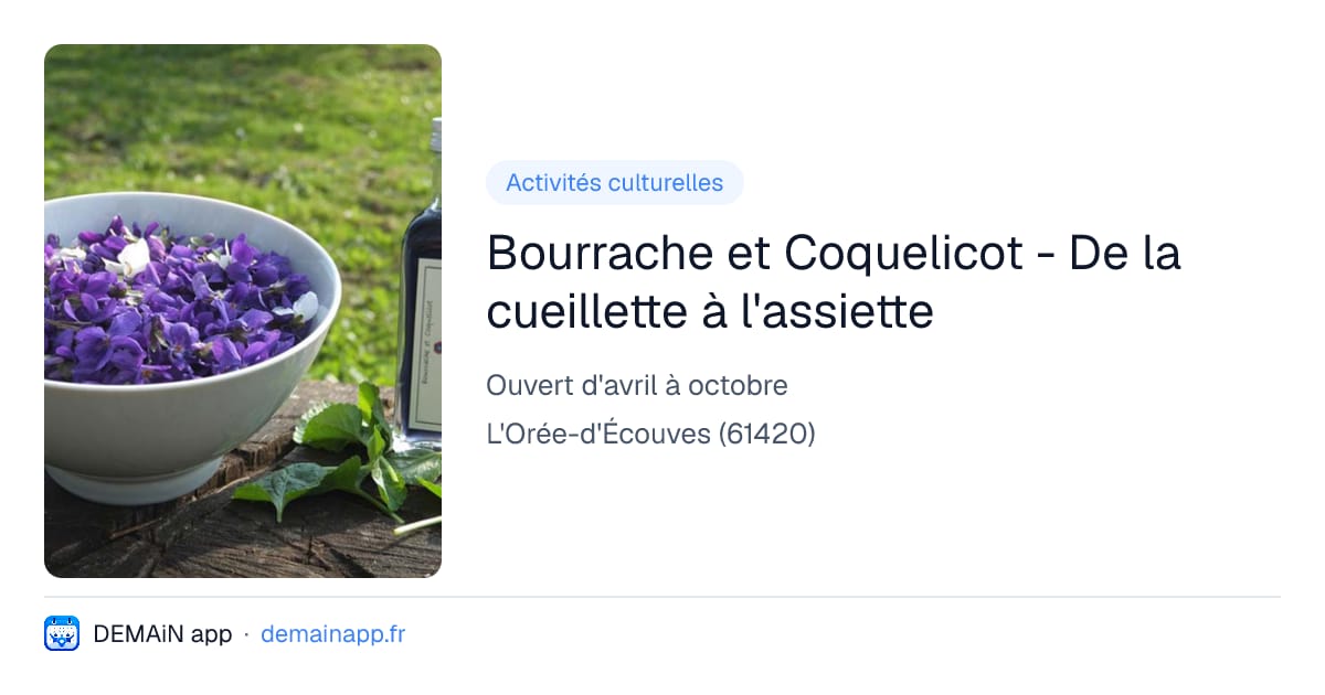 Bourrache et Coquelicot - De la cueillette à l'assiette — L'Orée-d'Écouves